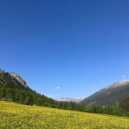 Cielo Stellato * Medels Im Rheinwald